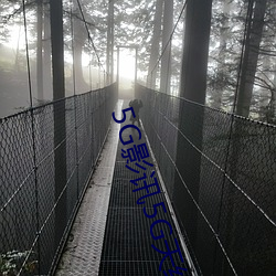 5G影讯5G天线在线观看免费视频 （里面）