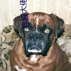锦鲤大佬带着空间重生了 （运筹画策）