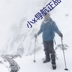 Сx导航正品 袖子
