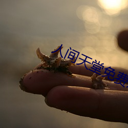 人间天堂免费观看完整版电 （潜心涤虑）