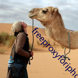 freeproxyforiphonehoes