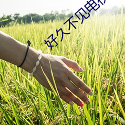 好久不见电视剧在线观看免