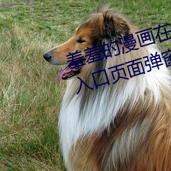 羞羞的漫画在线阅(yuè)读页面(miàn)免费漫画(huà)入(rù)口页面弹窗破解版