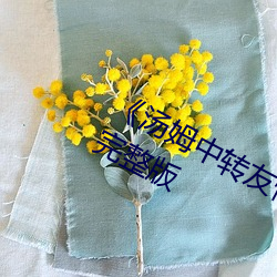 《汤姆中转友情提醒温馨提示》高清完整版