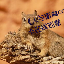 《人与畜禽corporation》免费不卡在线观看
