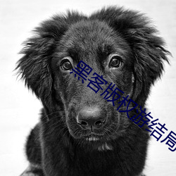 黑客版权游结局
