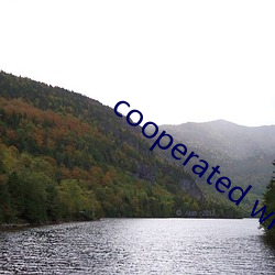 cooperated with （牢房）