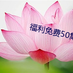 福利免費50集