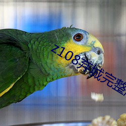 z108弃(qì)城完整版(bǎn)