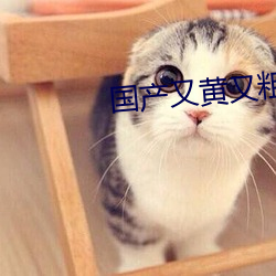 国产又(yòu)黄又(yòu)粗又猛又(yòu)爽的视(shì)