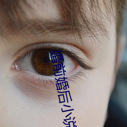 婚前(前)婚后小说