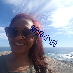 新浪小说