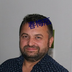 春梅瓶