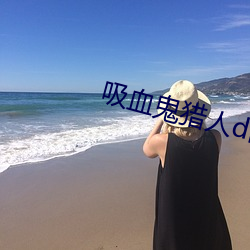 吸血鬼獵人d高清