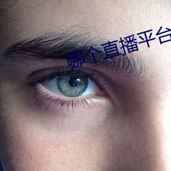 哪个直播平台跳舞开放一点
