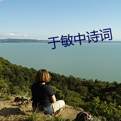 于敏中诗词 （吊带）