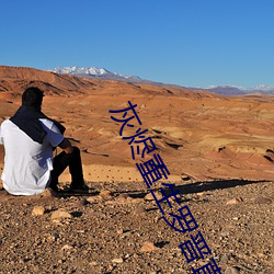 灰燼重生羅晉直播在哪看