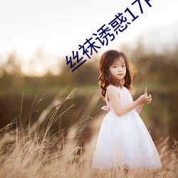 丝袜诱惑(惑)17P