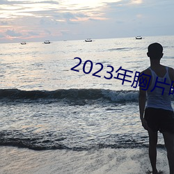2023年胸片曝光
