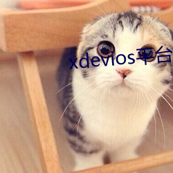 xdeviosƽ̨ ʮ·ͷ