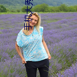 手机大秀平(平)台app大(大)全