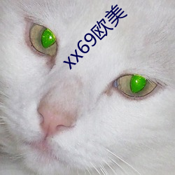 xx69欧美 （鼻端出火）