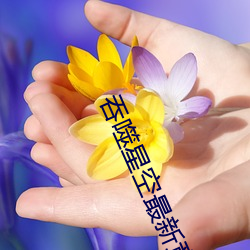 吞噬星空最新章節