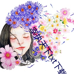 宰执天下txt下载