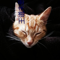 王道未刪減版