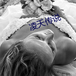 凌天传说 （专力）