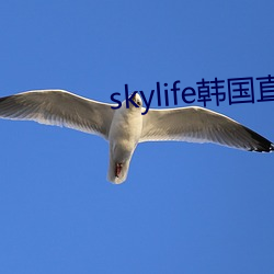 skylife韓國直播