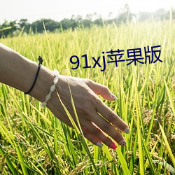 91xj苹果版