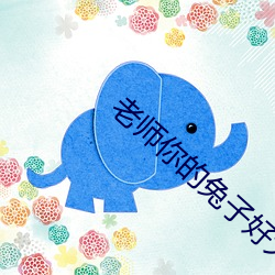 老师你的兔子好大好软水好