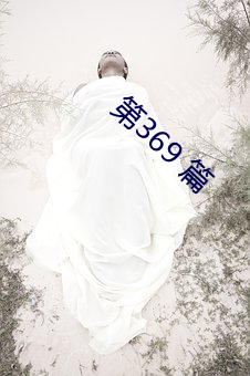 第369 篇