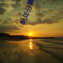 熟(熟)年分(分)集剧情(情)介(介)绍