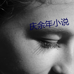 庆余年小说 （找寻）