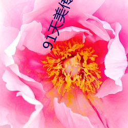 91天美传(傳)媒(媒)在(在)线