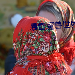 暴雪魔兽世界停止开发 （迷濛）