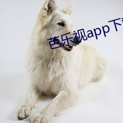 芭乐视app下载旧版(bǎn)本
