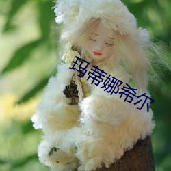 玛蒂娜希(希)尔