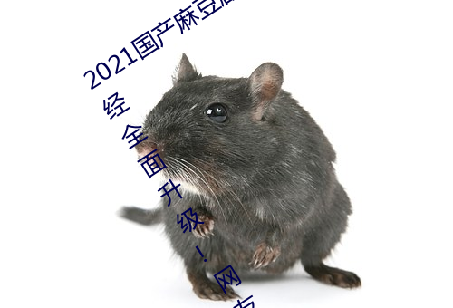 2021国产麻豆剧果冻传媒入口最新版已经全面升级!网友:更好