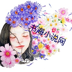书海小说网
