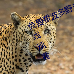免费看(看)波(波)多野吉衣视频电(電)影(影)完整版在(在)线观看