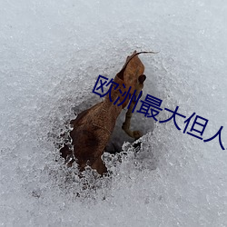 欧洲最大但人文艺术