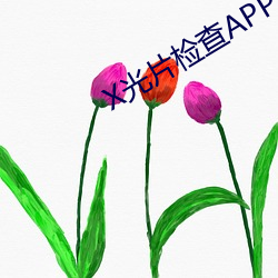 X光片檢查APP下載