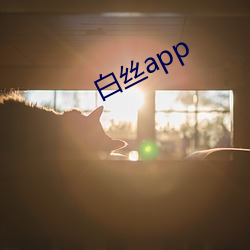 白(白)丝app