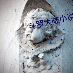 斗罗大陆小说全集 （仕女）