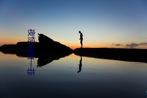 夜惊魂唐一菲 （书录）
