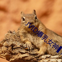 JVID爆乳女神▌雨橙▌