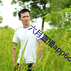 六月直播app6o6